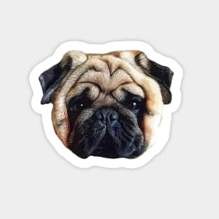 Pug Squishy Cute Dog Face Sticker